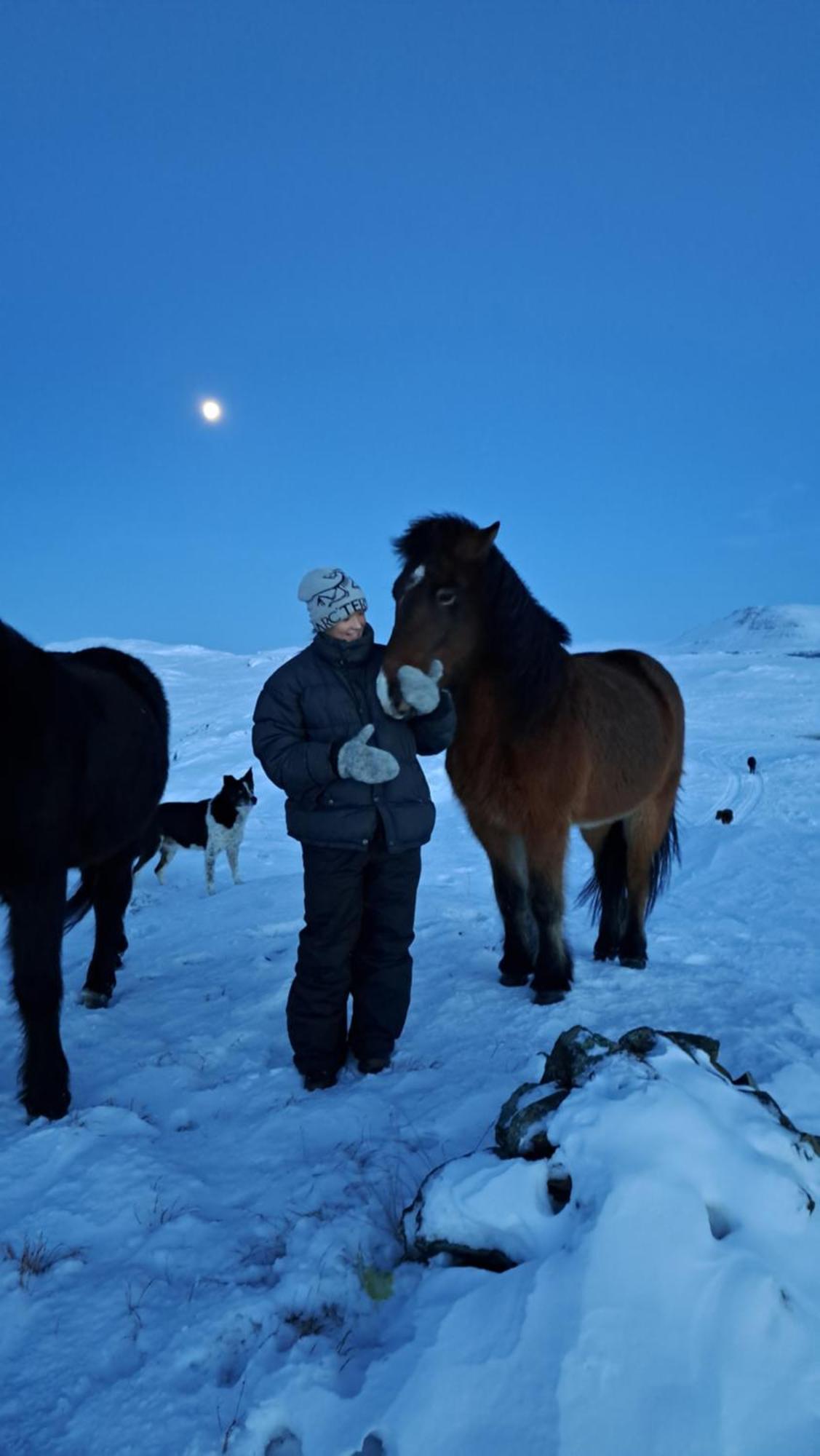 Gislaholt Villa Borgarnes Buitenkant foto