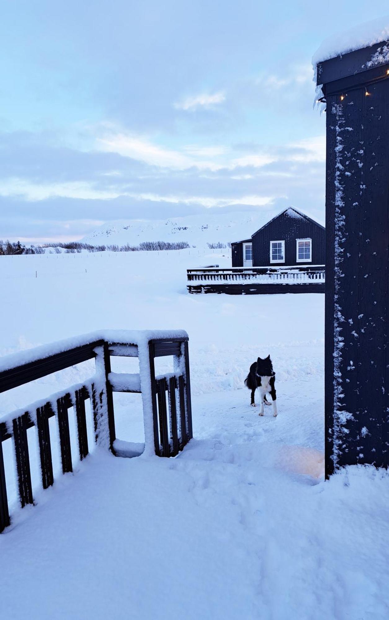 Gislaholt Villa Borgarnes Buitenkant foto